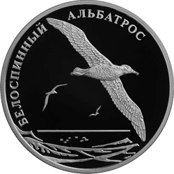 Реверс монеты Белоспинный альбатрос