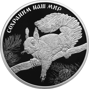 Реверс монеты Белка обыкновенная