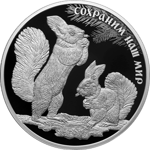 Реверс монеты Белка обыкновенная